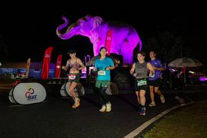 BIB: 
                            <button type="button" onclick="openModal(26535240)" class="btn btn-primary btn-sm float-right btn-popup" data-toggle="modal" data-target=".modal-high-quality">
                        <i class="fas fa-shopping-cart"></i> Add to Cart
                    </button>
                                            <button type="button" onclick="isThisMe(26535240, true)" class="btn btn-success btn-sm float-right btn-popup btn-isme hidden" data-toggle="tooltip" data-placement="bottom" title="นี่คือรูปของคุณใช่ไหม คลิกที่นี่เพื่อเอาเข้าอัลบั้ม">
                        <i class="fas fa-plus"></i> Add to album
                    </button>
                    <button type="button" onclick="isThisMe(26535240, false)" class="btn btn-warning btn-sm float-right btn-popup btn-isnotme hidden">
                        <i class="fas fa-ban"></i> Remove from album
                    </button>